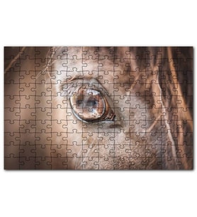 Cakapuzzle Kahverengi Atın Gözü Yakın Çekim Puzzle Yapboz MDF (Ahşap) (120 Parça)