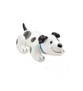 Köpek Binici 108 Cm x 71 Cm (Çok Renkli)