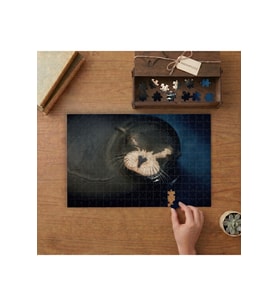 Sevimli Fok Balığı Tasarımı 240 parça Ahşap Puzzle Ahşap Kutuda MP04997