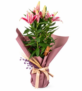 Premium Saksıda Pembe Lilyum Lavanta ve Doğal Dokularla Özel Tasarım