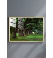Manzara Doğa Çerçeveli Metal Poster Tablo