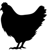 TAVUK  FOLYO STİCKER 200cm Uzunluk (Karışık)
