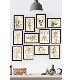 Çerçeve Görünümlü Insan Anatomisi Temalı Mdf Tablo Seti (80x80 Cm) 12 Parça