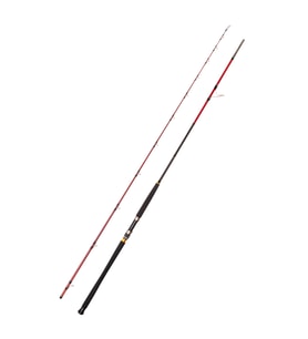 Caretta Vector 3.05m 60-150gr Shore Jig Olta Kamışı