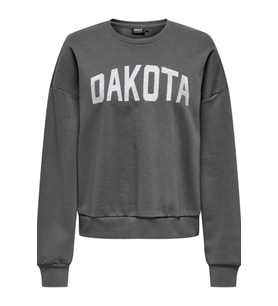 ONLJOLANA L/S GLITTER O-NECK SWT (Gri)