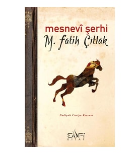 Mesnevi Şerhi