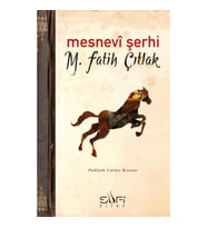 Mesnevi Şerhi