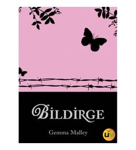 Bildirge