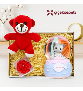 Kedili Otomatik Renk Değiştiren Işıklı Müzikli Kar Küresi & Peluş Ayıcık Ve Lotus Mum Özel Kutulu Hediye seti