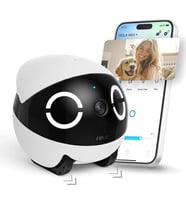 Enabot ROLA Mini 2K Kameralı Taşınabilir Hayvan Robotu / Evcil Dostunuzla Her Yerde Bağlantıda Kalın