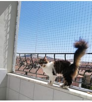 2x2Metre Kuş Kedi Balkon Filesi 4m2 Plasitk Döküm Ağ