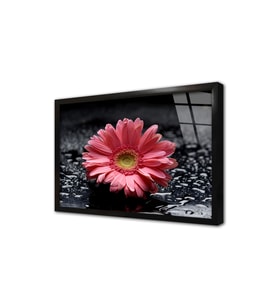 Spa Taşları ve Orkide Çerçeveli Cam Tablo
