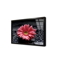 Spa Taşları ve Orkide Çerçeveli Cam Tablo