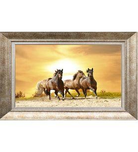 GÜMÜŞ ÇERÇEVELİ TABLO N733