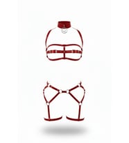 LYYN Kırmızı Harness Takım Yüksek Yakalı Tokalı Metal Halka Detaylı - Brf242 (Taba)