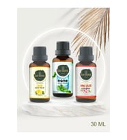 Limon + Nane + Kiraz Çiçeği ( Oda Kokusu Aroma Terapi Buhurdanlık / Difüzör Yağı ) 3 Adet x 30 ML