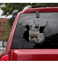 Araba Arka Gri Kedi Sticker Yapıştırma 17cm A8