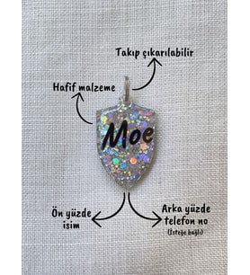 Kalkan Şeklinde Kedi/ Köpek- İsimliği/ Künyesi (Gri)