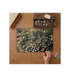 Mercan Bitkisi- Okyanus Canlıları Tasarımı 240 parça Ahşap Puzzle Ahşap Kutuda MP00247