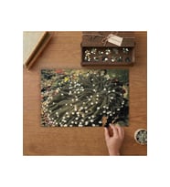 Mercan Bitkisi- Okyanus Canlıları Tasarımı 240 parça Ahşap Puzzle Ahşap Kutuda MP00247