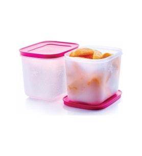Tupperware Alaska Set 2 Li