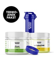 lypo-spheric acetyl l-carnitine Lypo-Spheric Acetyl L-Carnitine – Boost Up Your Immunity lypo-spheric acetyl l-carnitine Lypo-Spheric Acetyl L-Carnitine – Boost Up Your Immunity