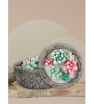 Doğal Soya Wax Kayıp Hazineler Mix Sukulent Dekoratif Mum