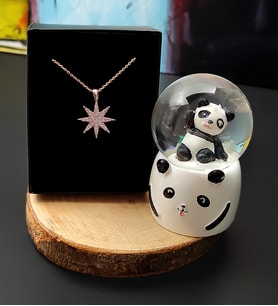 Panda Mini Işıklı Kar Küresi& Rose Gold Kutup Yıldızı Zirkon Taşlı Kolye Hediye Seti