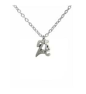 2Pac Logolu Metal Kolye – 60 cm Zincir  Gümüş Renk Unisex Hip-Hop & Rap Aksesuarı