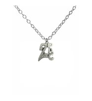 2Pac Logolu Metal Kolye – 60 cm Zincir  Gümüş Renk Unisex Hip-Hop & Rap Aksesuarı