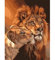 Aslan Çifti Sayılarla Boyama Seti 40x 50 cm (Tuvale Gerili)