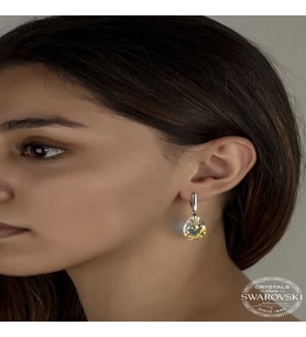 S-warovski Crystal Taşlı Gümüş Damla Sallantılı Kadın Küpe