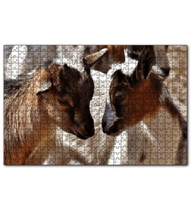 Cakapuzzle Sevimli Oğlaklar Görseli  Puzzle Yapboz MDF (Ahşap) (120 Parça)
