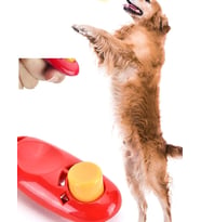 Akustik Clicker Köpek Ses Aparatı - Spiral Bileklikli Köpek Eğitim Aparatı (Boş)