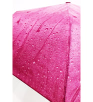 Kadın Pembe  Damlacık Şemsiye