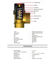 Case Emniyet Ventili 3/4'' - 8 Bar (07-2581)