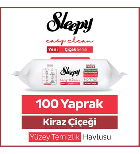 Easy Clean Kiraz Çiçeği Yüzey Temizlik Havlusu Mendili 100 Yaprak (2 paketi)