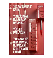 Maybelline Vinyl Ink Super Stay 110 Awestruck