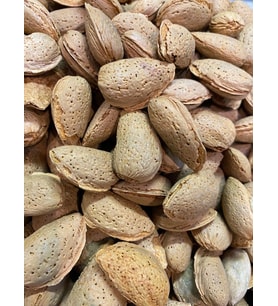 Hatay Kabuklu Badem(1 kg)