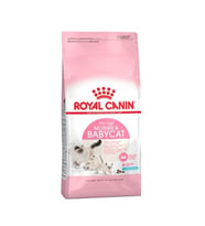 Royal Canin BabyCat 34 Yavru Kuru Kedi Maması 4 Kg
