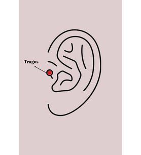 Mey İthalat® 316L Çelik Gümüş Renk Pembe Mineli Kalp Zirkon Taş Detay Tragus Piercing