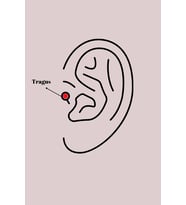 Mey İthalat® 316L Çelik Gümüş Renk Pembe Mineli Kalp Zirkon Taş Detay Tragus Piercing