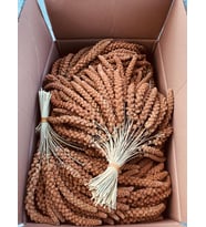 Kızıl Dal Darı Protein Deposu Organik Kuş Yemi ( 5 kg )