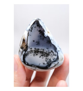 Alkimik Mavi ve Altın Birleşimi: Cilalı Merlinit (Dendritik Opal) Numunesi