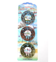 İstanbul Temalı Metal Magnet 3'lü Set Alk2890