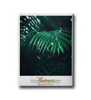 Botanik Canvas Tablo MİND319