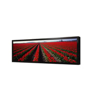 Panoramik Doğa Çerçeveli Mdf Tablo