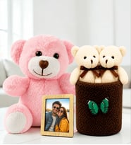 Kişiye Özel Fotoğraflı Pembe Peluş Ayıcık ve Peluş Saksıda Ayıcık Buketi Arkadaşa Kadına Sevgiliye Hediye Seti