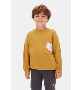 Erkek Çocuk Swaetşirt 4-8 Yaş 49509