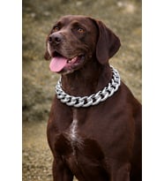 4cm KALIN HAFİF ZİNCİR TASMA KÖPEK KOLYE GÜÇLÜ AKRİLİK